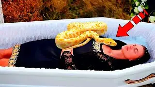 During the funeral, a snake crawled into the coffin. Then something strange happened!