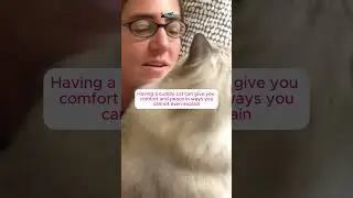The Purrfect Cuddle Buddy: Happy 15th Birthday in Heaven, Chiggy!