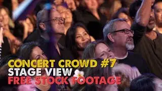 Concert Crowd #7 - Dancing - Stage View - Free Stock Footage
