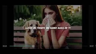 Te marchaste 😔.