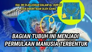 Inilah Bagian Tubuh Manusia yang Tak Akan Hancur Meski Sudah Lama Meninggal Dunia #SAINS5