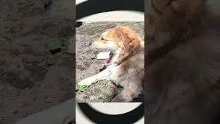 FOTOS QUE VOCÊ VAI PRECISAR OLHAR DUAS VEZES PRA ENTENDER 25 