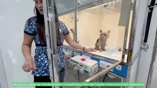 19 июля 2022 г.