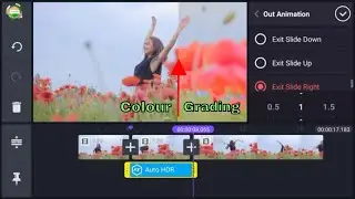 Cinematic Colour Grading Tutorial In Kinemaster