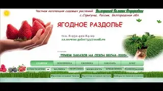 Навигатор по сайту Ягодное Раздолье Галины Володиной