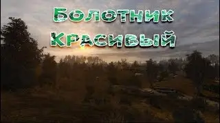 Сталкер . Путь человека . Шаг в неизвестность . Дежавю . Косметический заказ . Болотник Красивый