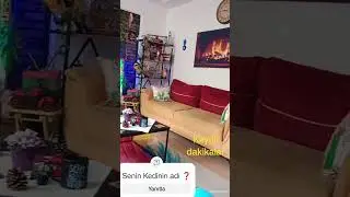 #Cozy #home #Cat #Kedi #funny #music #love #travel