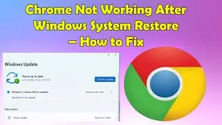 Fix Chrome Not Opening After System Restore on Windows PC