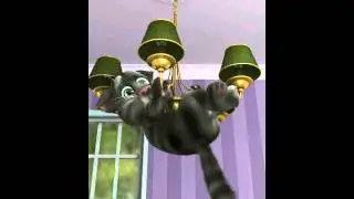 Том