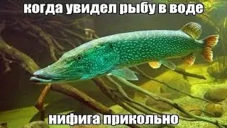 ЧО КАВО Я СКАЧАЛ ПАБГ БАТЛГРАУНДС