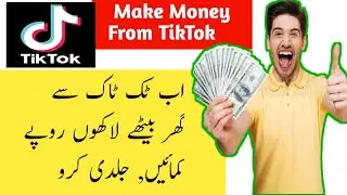 How To Earn Money From TikTok 2021 | TikTok Earning In Pakistan / India