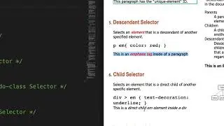 Basic CSS Selectors