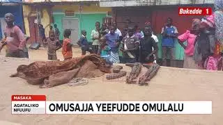 OMULALU BAMUSANZE N'EMMUNDU 2 EDDALU LIMUWEDDEKO N'ATEEKAKO KAKOKOLA TONDEKA NNYUMA