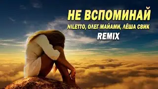 NILETTO , Олег Майами, Леша Свик - Не вспоминай (REMIX)