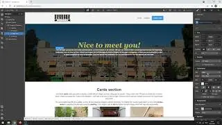 Webflow: Tekst opmaak