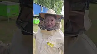 КТО РАБОТАЕТ?