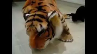 The dog in the skin of a lion / Собака в шкуре льва