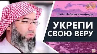 Шейх Набиль аль-Авади. Укрепи свою веру...