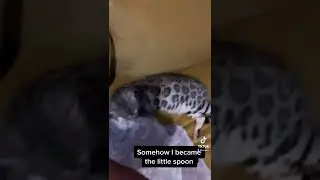 How did I become the little spoon?!?