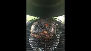 Pulled Pork on the Pit Boss Kamado
