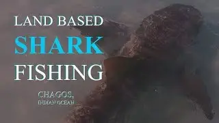 Tropical island shark fishing !