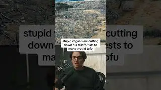 “Stupid vegans are cutting down our rainforests for stupid tofu”