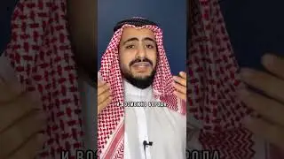 Как быстро заговорить на арабском?