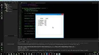 QT PROGRAMLAMAvideo4