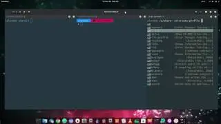 Bash Vs Zsh Vs Fish | The Default Tab-Autocomplete