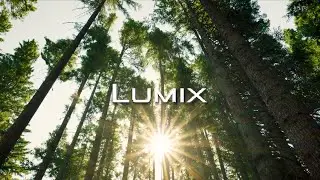 LUMIX: Shutter Showdown //Challenge #3: Cooking Film