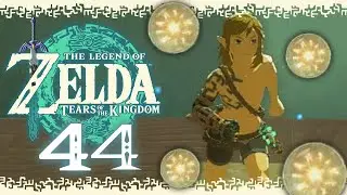 On recherche les LUEURS BIENFAISANTES ! ZELDA TEARS OF THE KINGDOM #44