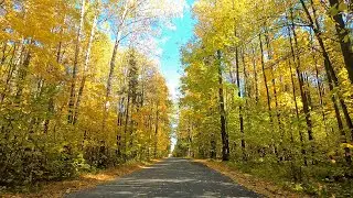 Дорога в золотую осень в Республике Марий Эл