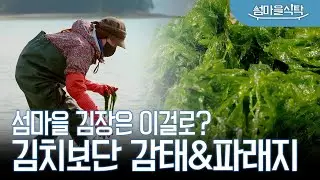 우리 동네는 밥상에 이거 없으면 밥 안 먹어😎 1년 내내 두고 먹는 파래지&감태지 고흥 파래 감태