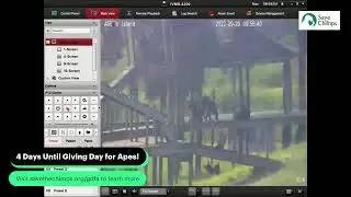 Live from Save the Chimps