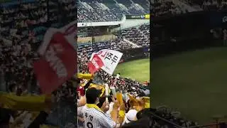 Baseball games in Korea are on a whole nother level!