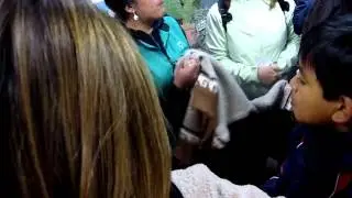Como saber si una prenda es de lana de ALPACA