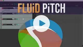 Fluid Pitch Inside Reaper | Tutorial | Pitch Innovations