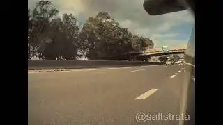 Deer on highway in Wollongong, narrow miss by Tesla July 2022, featured in Illawarra mercury