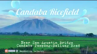 Morning Ride at Candaba Rice Field (Pampanga Tourist Spot)