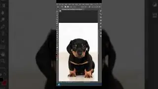 Clone Stamp Tool Photoshop #shortvideo  #photoshop