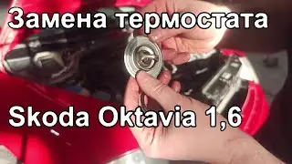 Замена термостата Skoda Octavia A5 BSE 1.6