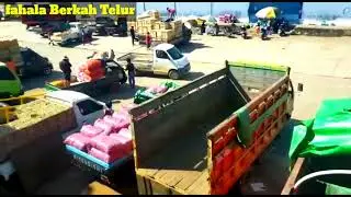 cara buruh turunkan telur ayam dari kapal