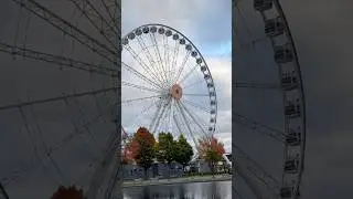 Montreal #quebec #canada #shorts #travel #fall #autumn