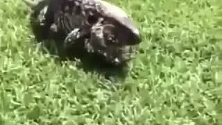 Очень страшно