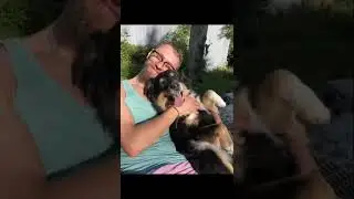 Love animals❤️❤️❤️