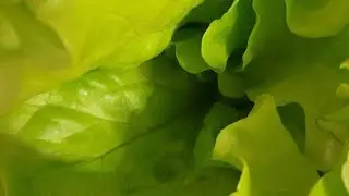 Покупки ))) - 14.02.2020 - Продукты, Кофе, Цены...