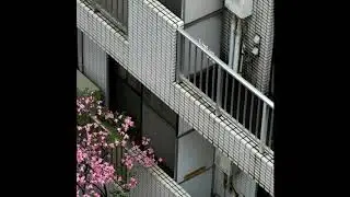 Digital再燃