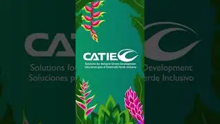 Estudiantes de Maestría y Doctorado agradecen a DAAD las becas para estudiar en el CATIE