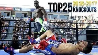 Top 25 Best Knockouts of 2016 2017