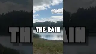 Installing Windows 11 in the…WOODS! What Could Go Wrong